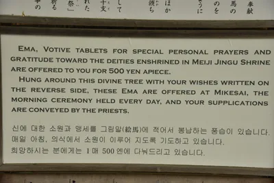 DSC_3318 (Large).JPG